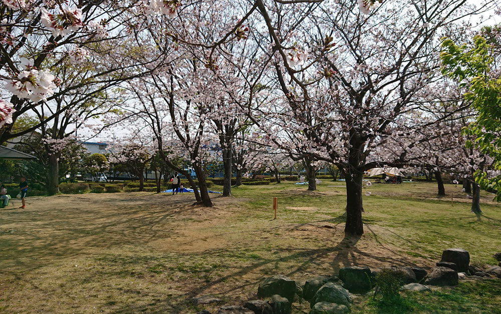 高松公園|静岡市の公園紹介 桜も綺麗な公園 | ひまぷら