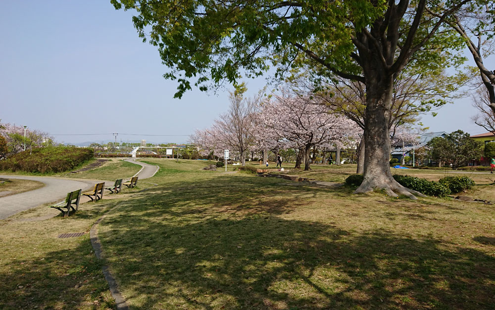 高松公園|静岡市の公園紹介 桜も綺麗な公園 | ひまぷら