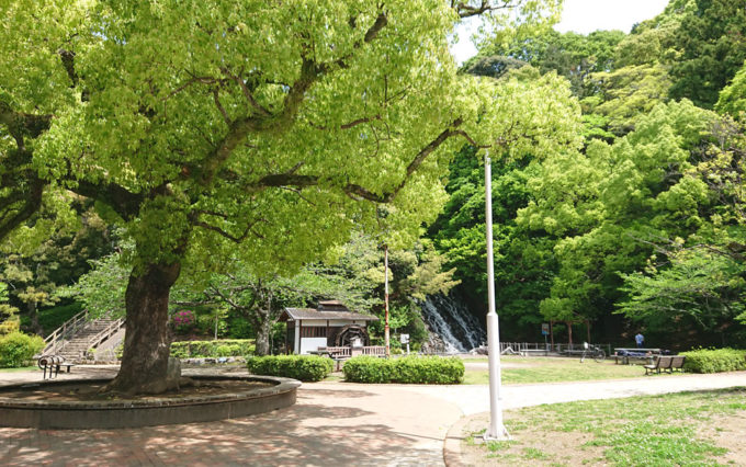 清水山公園の風景